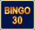 Bingo 30